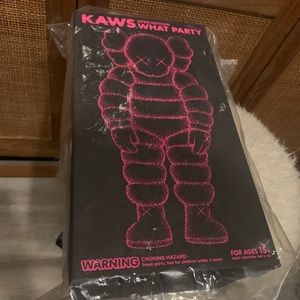 KAWS What Party